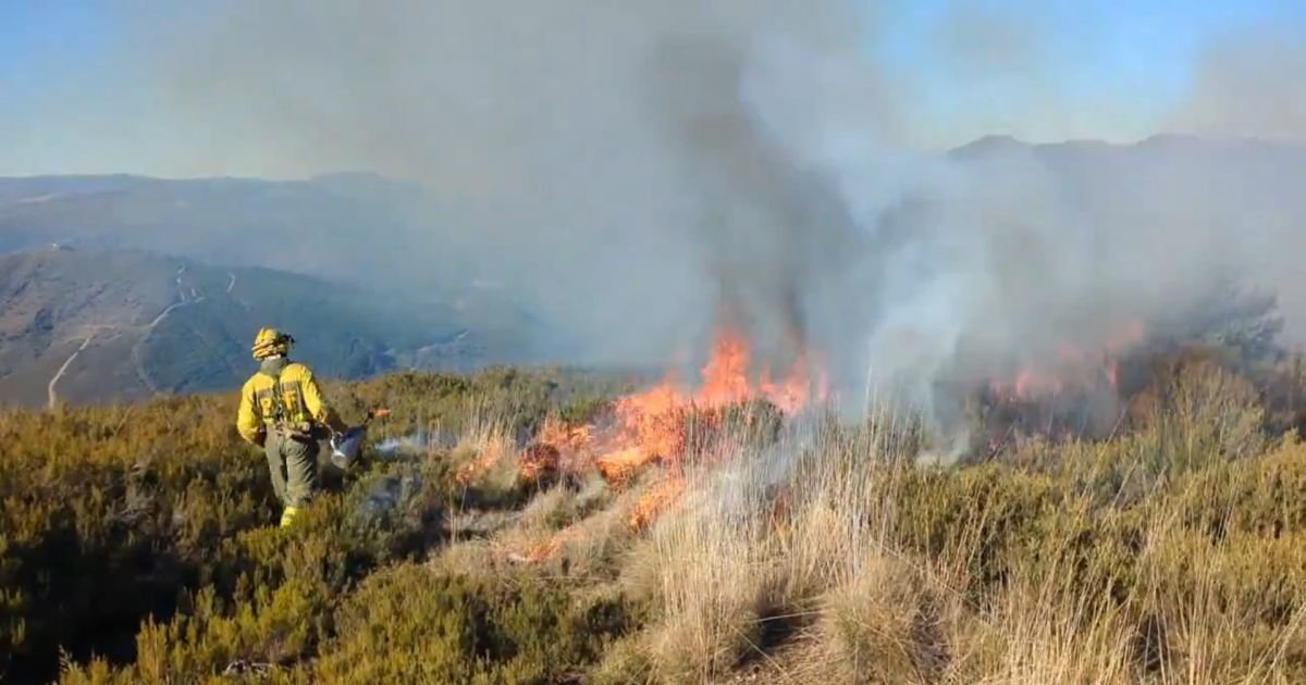 Han calcinado 13 hectáreas de superficie Da comienzo la temporada de