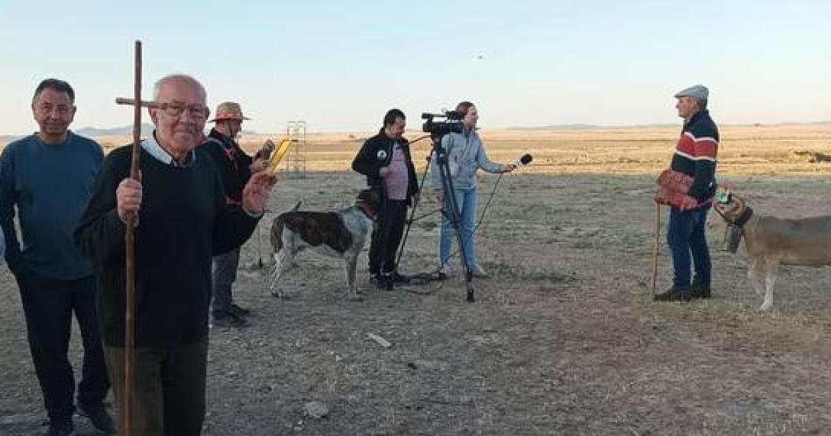 El rebaño trashumante que huye de la sequía