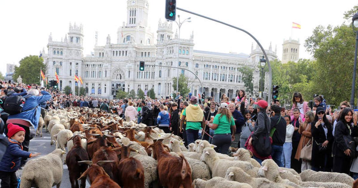 La lengua que lleva y trae la trashumancia