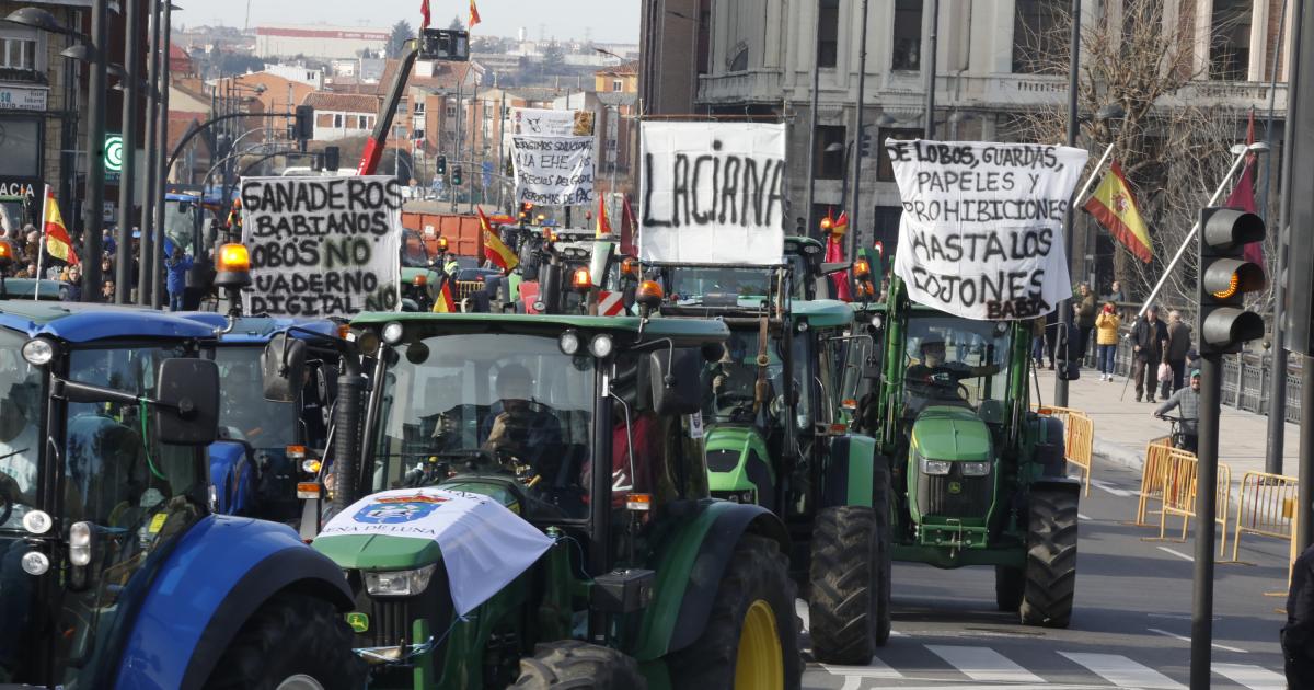 Sin Incidentes A Primera Hora Tras Una Noche Tensa Por Las Protestas ...