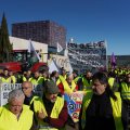 El sector agrario y ganadero, convocado por Unaspi, protesta ante las Cortes, bajo el lema 'Por el futuro del campo español, quedarse en casa no es la solución'.