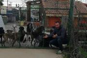 Daniel Muñoz con sus perros en El Bosque de Sury, la asociación de ayuda a los gatos ferales. DL