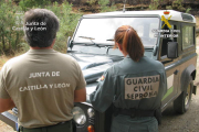 Personal de la Junta de Castilla y León y del Seprona investigando las causas del incendio. GUARDIA CIVIL