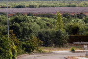 Parque fotovoltaico en la localidad de San Miguel del Camino. RAMIRO