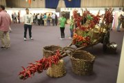 El recinto ferial de Carracedelo acogerá la sexta edición de una feria que este año incluye dos productos tan típicos de la zona como son la manzana Reineta y la pera Conferencia. Este sábado, como actos previos, tendrán lugar dos conferencias sobre técni