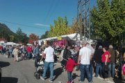 El buen tiempo animó a los visitantes a recorrer todos los puestos de la feria. ARAUJO