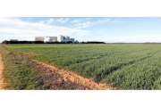 Terrenos aledaños al CTR de San Román de la Vega en los que se asentará el complejo medioambiental de Latem Aluminium. MARCIANO PÉREZ
