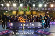 Final de la Copa Asobal de balonmano entre el Ademar y el Barcelona. F. Otero Perandones.