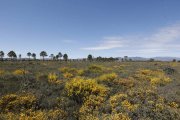 Terrenos de Destriana en los que se instalarían las plantas solares. MARCIANO PÉREZ
