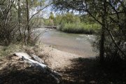 Tramo del río Torío que se aprovechará para realizar actividades acuáticas.