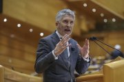 El ministro de Interior, Fernando Grande-Marlaska, interviene en la sesión de control en el Senado celebrada este martes en Madrid.