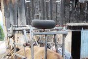 Un potro desarraigado y convertido en portátil. R. G.-QUEVEDO