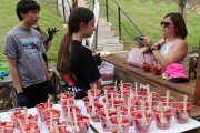 La fresa volverá a ser protagonista en junio.