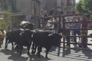 El último encierro de las fiestas se desarrolló sin incidentes.