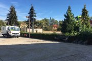 Unos operarios podan el jardín del Ayuntamiento de San Andrés.