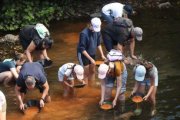 La Fundación Cultura minera de Torre del Bierzo organiza un bateo de oro en el río Tremo en una edición pasada