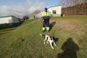 Un trabajador con un perro en las instalaciones del albergue municipal en el alto de Montearenas en Ponferrada.  Iván Alonso durante una visita a la perrera.