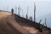 Un caminante ayer miércoles en el acceso lleno de ceniza que da hacia el alto del mirador de Orellán.