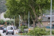Imagen de archivo de poda en Ponferrada