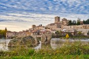 Zamora