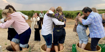 Enoturistas pisando uva en el viñedo de una bodega de la DO León.