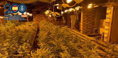 Plantación de marihuana indoor en Ponferrada