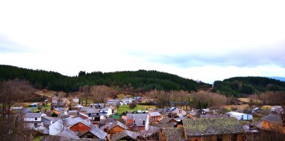 Imagen reciente de Sancedo, rodeado de pinos.