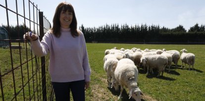Pilar de Frutos en una de las praderas del IGM CSIC-ULE con un hatajo de ovejas de la finca de investigación de Grulleros.