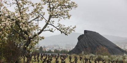 Los últimos restos de la montaña de carbón de Fabero asoman todavía entre viñedos.