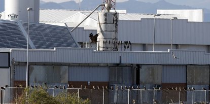 Instalaciones del matadero de León.