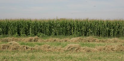La propuesta de simplificación de la PAC se vende como la respuesta a las demandas de los agricultores.