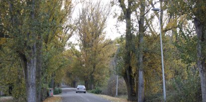 Carretera de Gradefes.