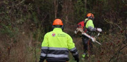 Brigadas forestales en imagen de archivo