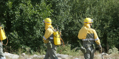 Brigadistas operando en un incendio en la comarca del Bierzo.
