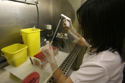 Una científica trabaja en la investigación sobre el virus de la gripe aviaria, en el Hospital Clínic, en una imagen de archivo.