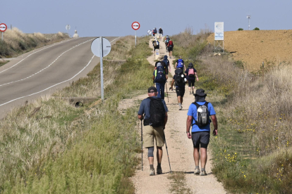 Peregrinos caminan un tramo del Camino de Santiago francés en la provincia de Palencia. EFE/ Almudena Álvarez