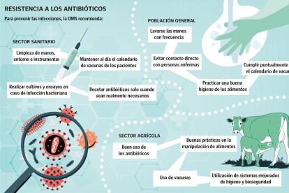 Gráfico sobre cómo prevenir las infecciones según la Organización Mundial de la Salud.