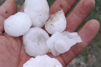 Piedras de granizo caídas este martes en El Bierzo.