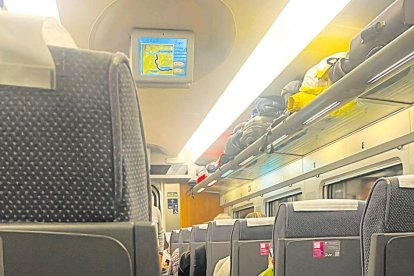 Interior de uno de los trenes parados.