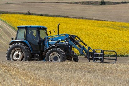 En la imagen un tractor pasa sobre campos recién segados de Zaragoza. EFE/JAVIER BELVER