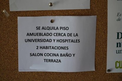 Anuncio alquiler de piso en la Universidad