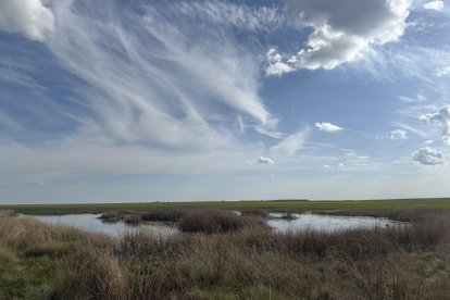 Laguna de Villadangos, ejemplo de humedal limitado por cultivos que es refugio importante para las aves.