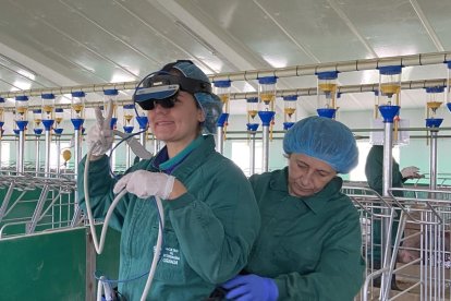 La decana y una alumna que utiliza un ecógrafo para diagnosticar la gestación en la raza porcina.