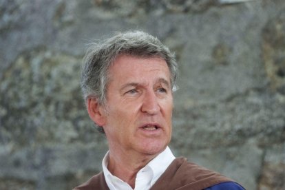 El líder del PP, Alberto Núñez Feijóo.