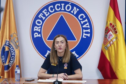 La directora general de Protección Civil, Virginia Barcones, comparece tras la reunión del CECOD para informar sobre los incendios activos en España. EFE/J.P. Gandul.
