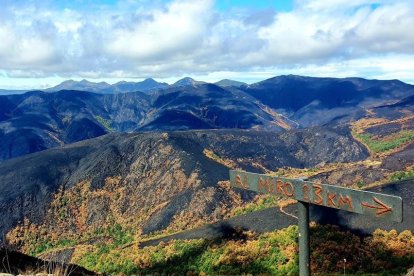 La alcaldesa de Páramo del Sil, Alicia García, señala la zona calcinada desde la zona del Miro y lo verde que se salvó de la braña de Anllares. Detrás está Fornela.