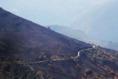 La zona a mejorar se vio afectada por el fuego.