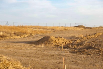 Enclave donde irán los edificios del futuro museo de Lancia, donde se aprecia el movimiento de tierras.