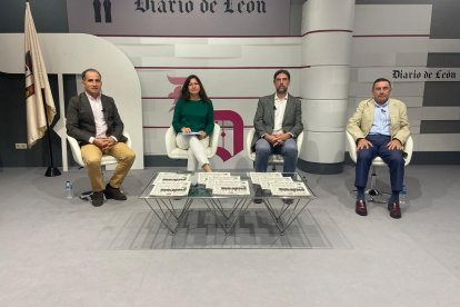 David González, Pilar Infiesta, Jorge García y Enrique Busto, durante la mesa redonda