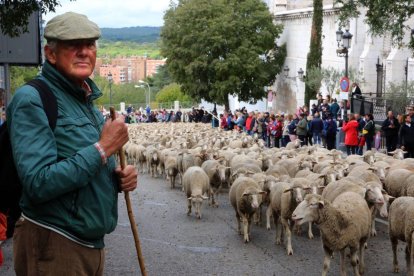 Jesús Garzón en una de las fiestas de la trashumancia en Madrid.